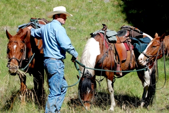 This photo of a working rancher was taken by Gayle Lindgren of Phoenix, Arizona.